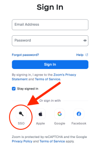 On the Zoom login screen, Duke users should select the SSO icon in the lower left